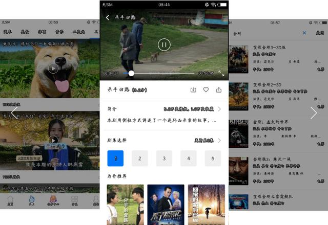 新奥门特免费资料大全火凤凰,实地数据验证计划_app49.481