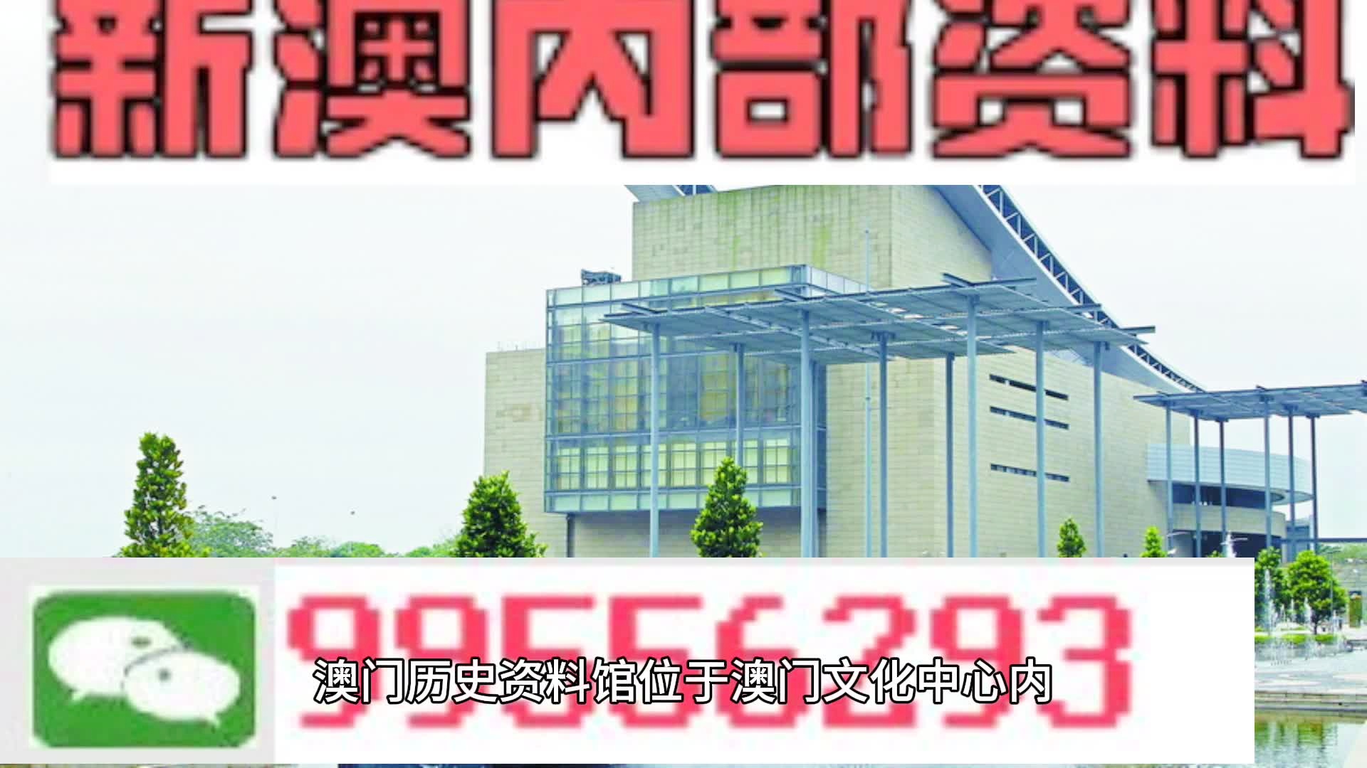 新澳门资料免费长期公开,2024,专业解答执行_精装版66.257