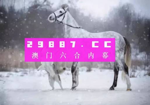 澳门精准一肖一码一码,诠释解析落实_3DM48.411